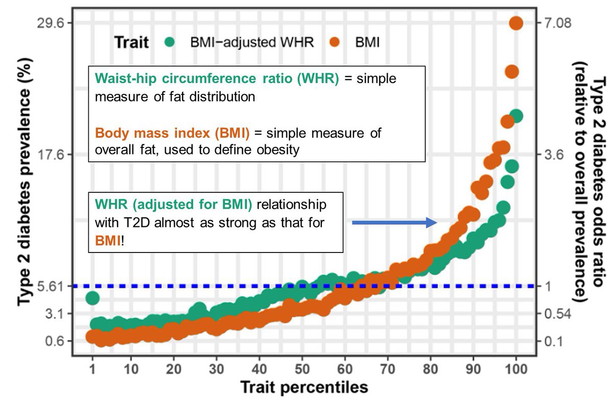 SABOURETCardio's tweet photo. #FatDistribution and risk of #T2D https://t.co/eDtKbC0vwg
