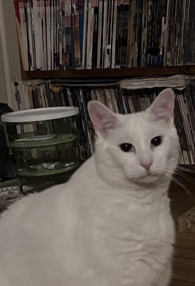 jlbug_esq's tweet photo. https://t.co/wlWIYTB76y