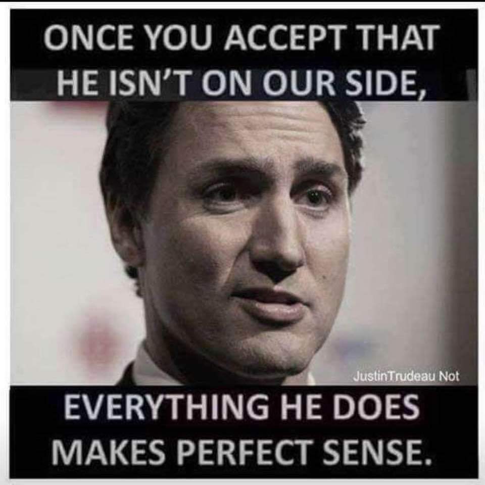 Beeee6D's tweet photo. @JustinTrudeau Hey Gaslighting Narcissist 
⤵️
#NeverForget 🍁
#StandForFreedomIntegrityEthicsandTruth 🍁 https://t.co/3KUEH1j2hT