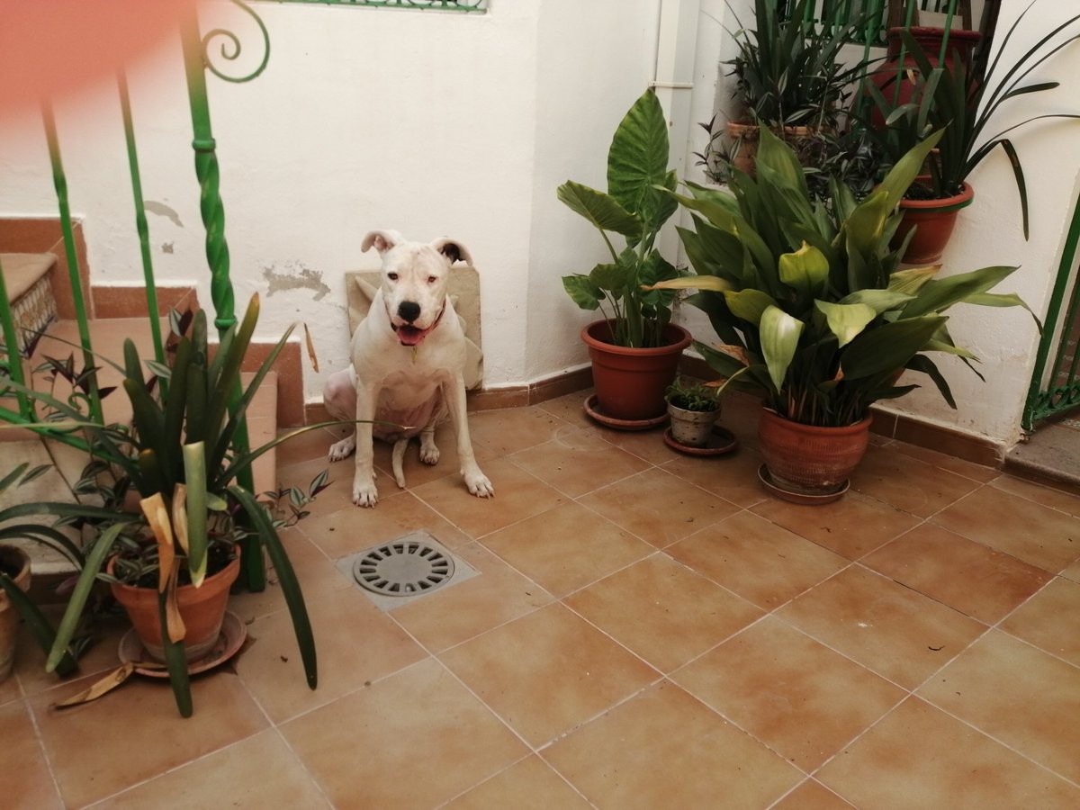 Pnoico🔻🐌☭ tweet media