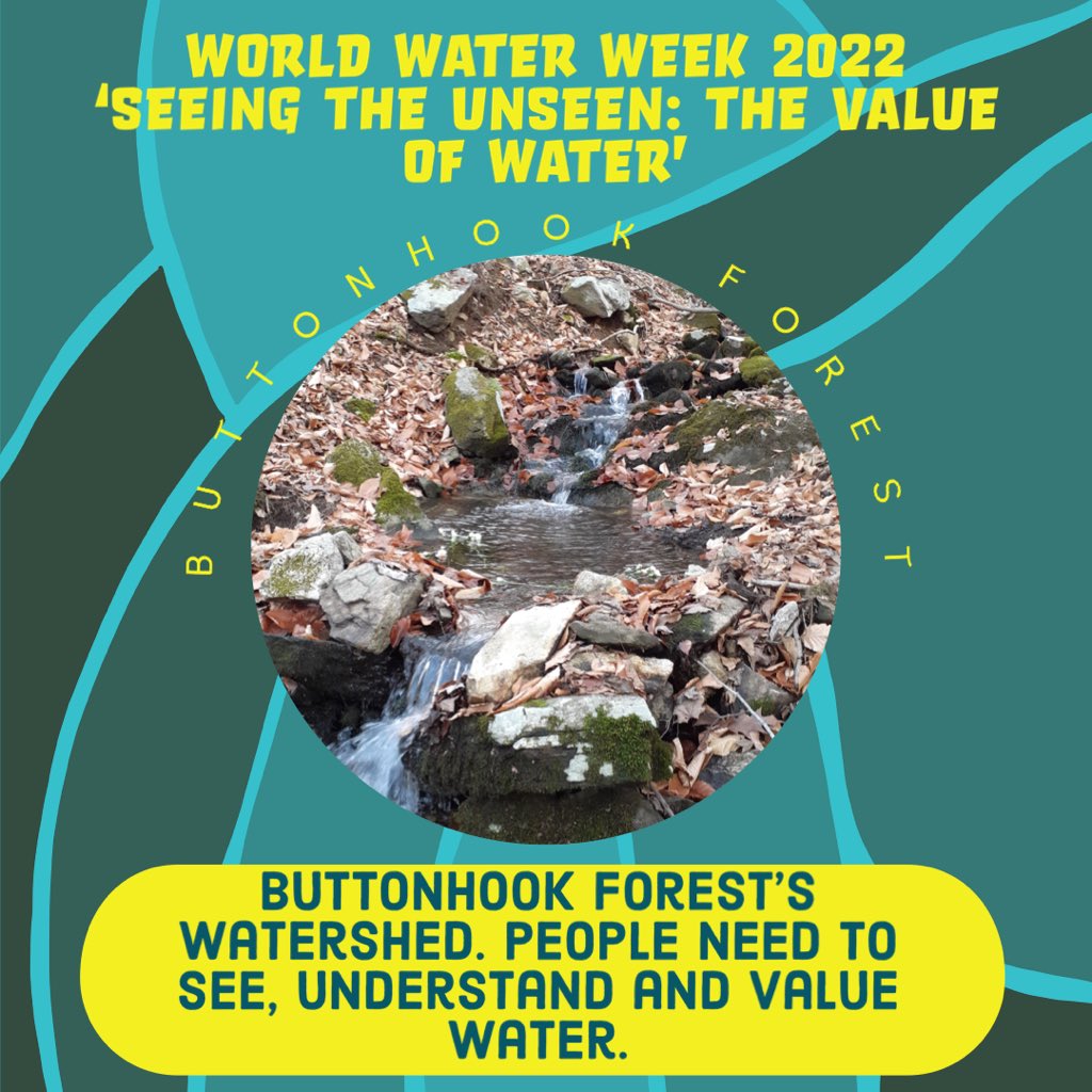 savebuttonhook's tweet photo. Buttonhook is celebrating World Water Week. Aug 23-Sept 1, 2022. Did you know Buttonhook Forest is a watershed. Water=Life. Healthy watersheds provide many ecosystem services. All for FREE!!
#worldwaterweek #savebuttonhook #waterislife #cleandrinkingwater #watershed #water #life https://t.co/p8OARmCXqk