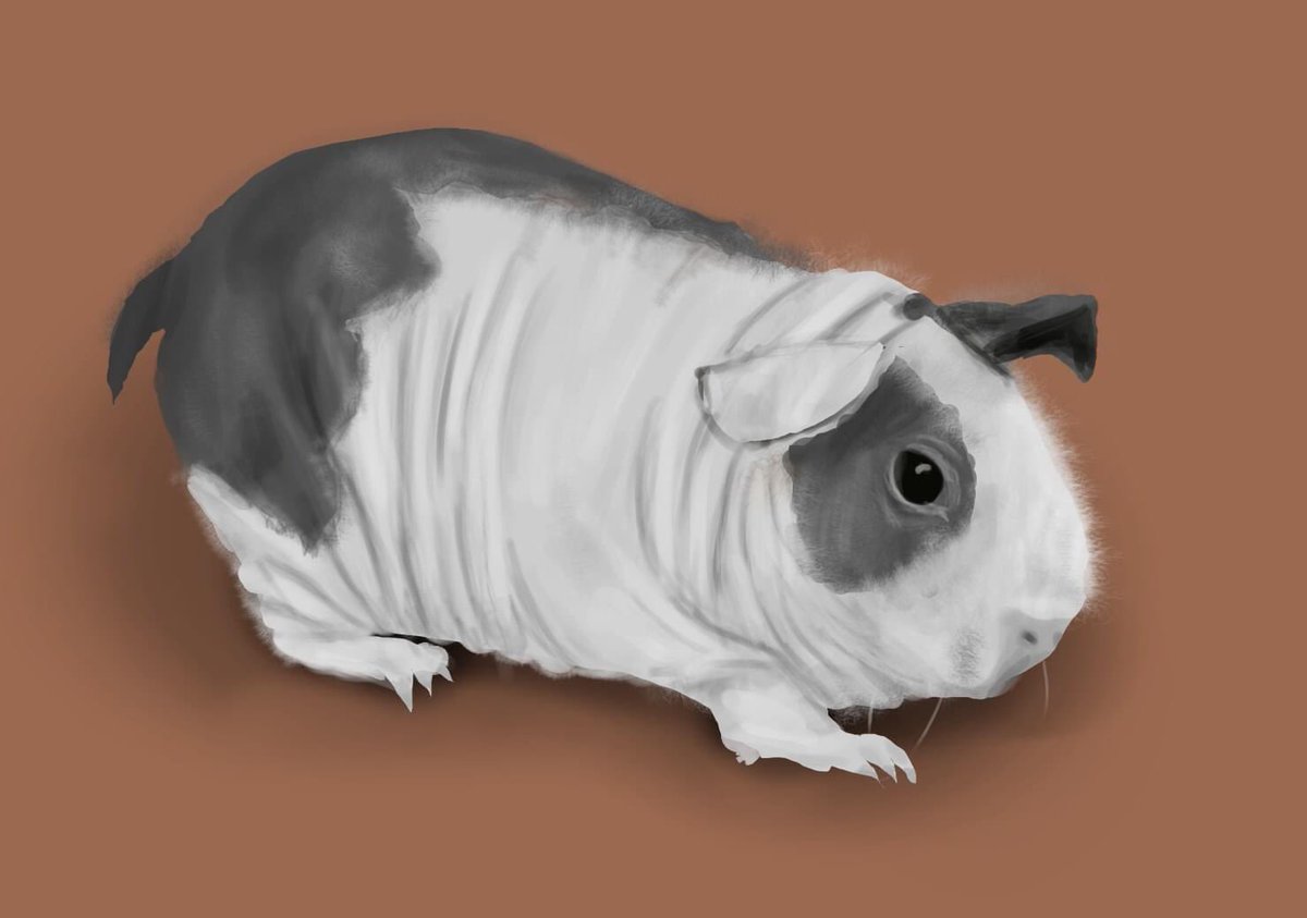 raulpassos's tweet photo. Sketches de desenhos. Dobras.
Sketches. Folds.

#sketches #sketch #desenho #pinturadigital #draw #drawing #painting #digitalpainting  #digitalart #art #artwork   #artistsoninstagram #instaart  #design  #paint #values  #simplifiedforms #study #pig #skinny #dress #thumbnail https://t.co/UZvx2BJN8Z