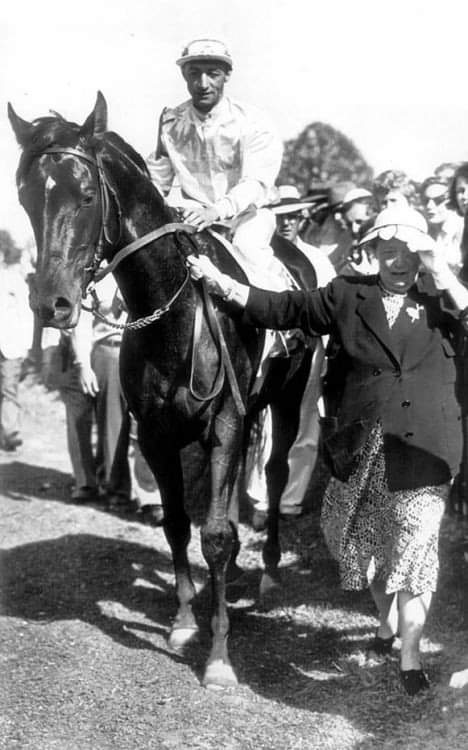HORSERACING1002's tweet photo. ONE COUNT🇺🇸(COUNT FLEET) #OneCount a G1 Stakes winner in USA 🇺🇸.  1952 @BelmontStakes winner 🏆. Champion 3yo Colt and Horse of the year. Sired 12 sw. https://t.co/HySxulIIpa