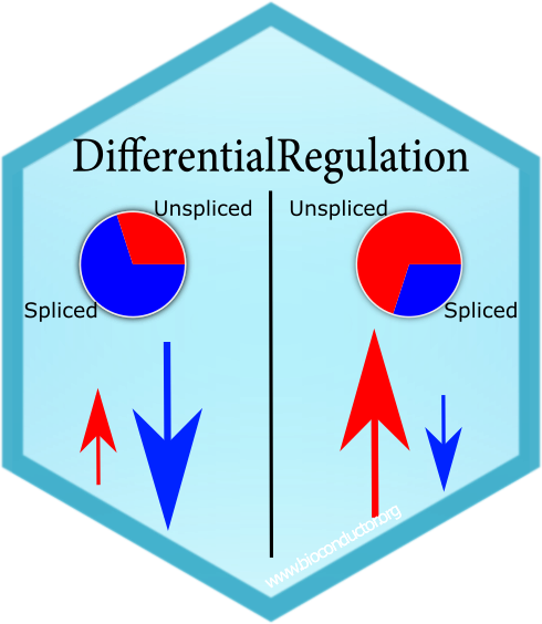 BioinfoCreed's tweet photo. #100DaysofRpackages
(31). DifferentialRegulation
This package by @tiberi_simone allows detecting differentially regulated genes by targeting differences in the balance of spliced and unspliced mRNA abundances from scRNAseq data
#RStats #Bioinformatics
https://t.co/xcgSK4OzEh https://t.co/u5cazCbqZi