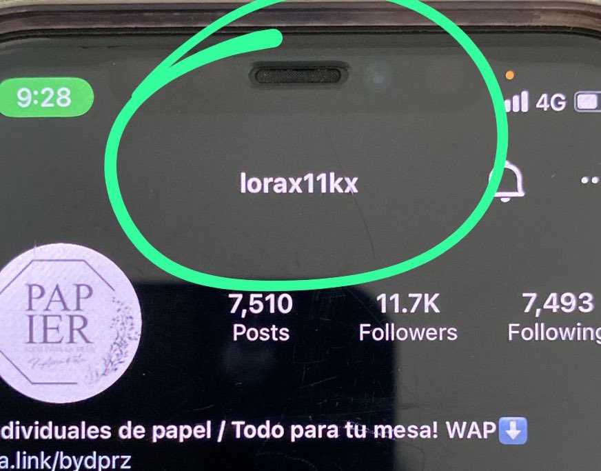 VeroLinaresC's tweet photo. La delincuencia ve una oportunidad y entra de inmediato. Ahora roban las cuentas de Instagram de emprendimientos para  pedir dinero a cambio de devolvérselas. Hacerse de una comunidad para vender tus productos no es fácil. Aquí 11mil 700 seguidores al agua. @PoliciaPeru https://t.co/nxYDPzSoTf
