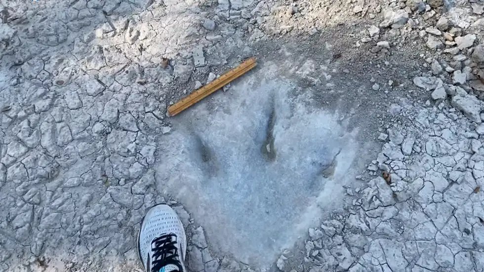 Texas drought unveils 113millionyearold dinosaur footprints! / Twitter