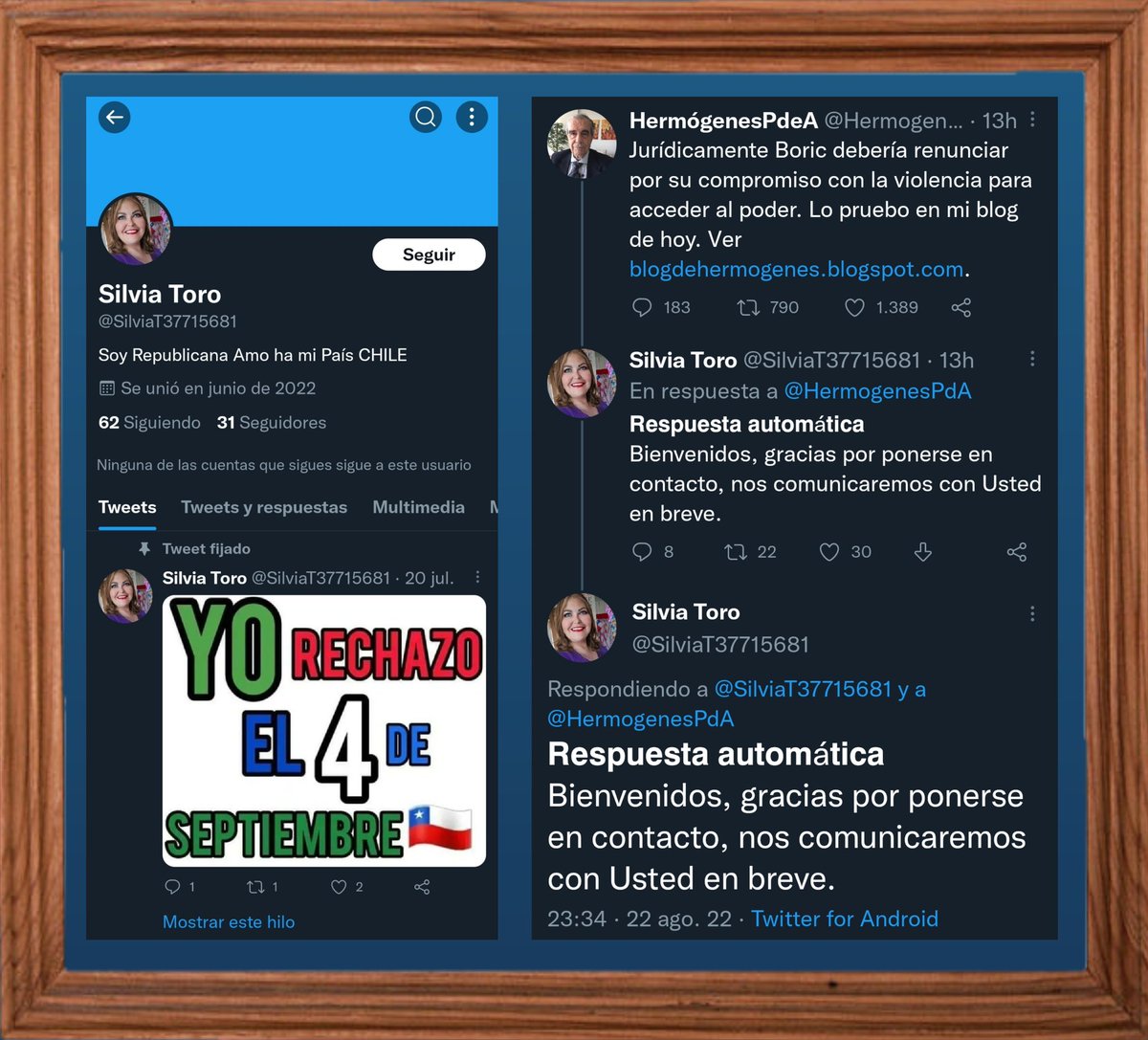 🖼️MUSEO TUITERO tweet media