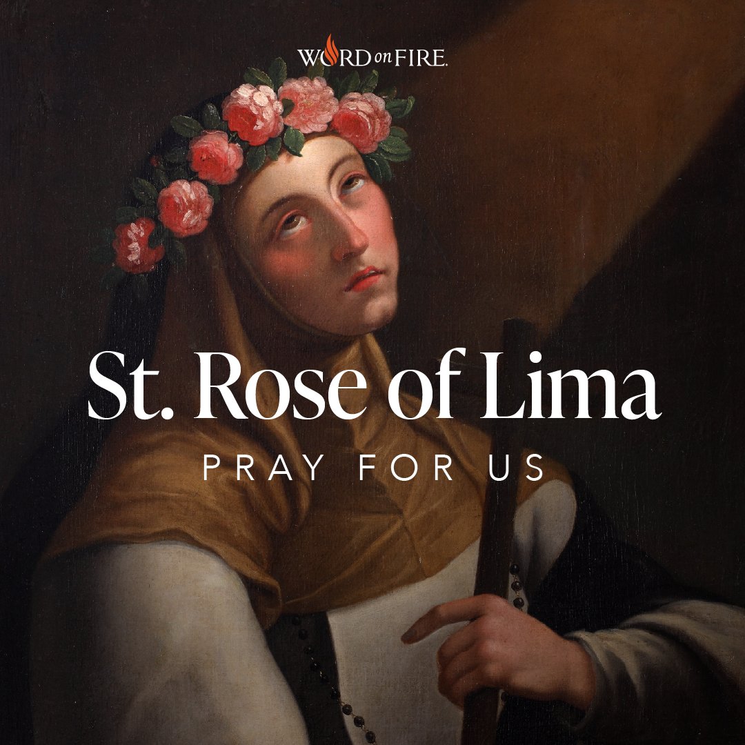 BishopBarron's tweet photo. St. Rose of Lima, pray for us! https://t.co/0vopokGDqQ