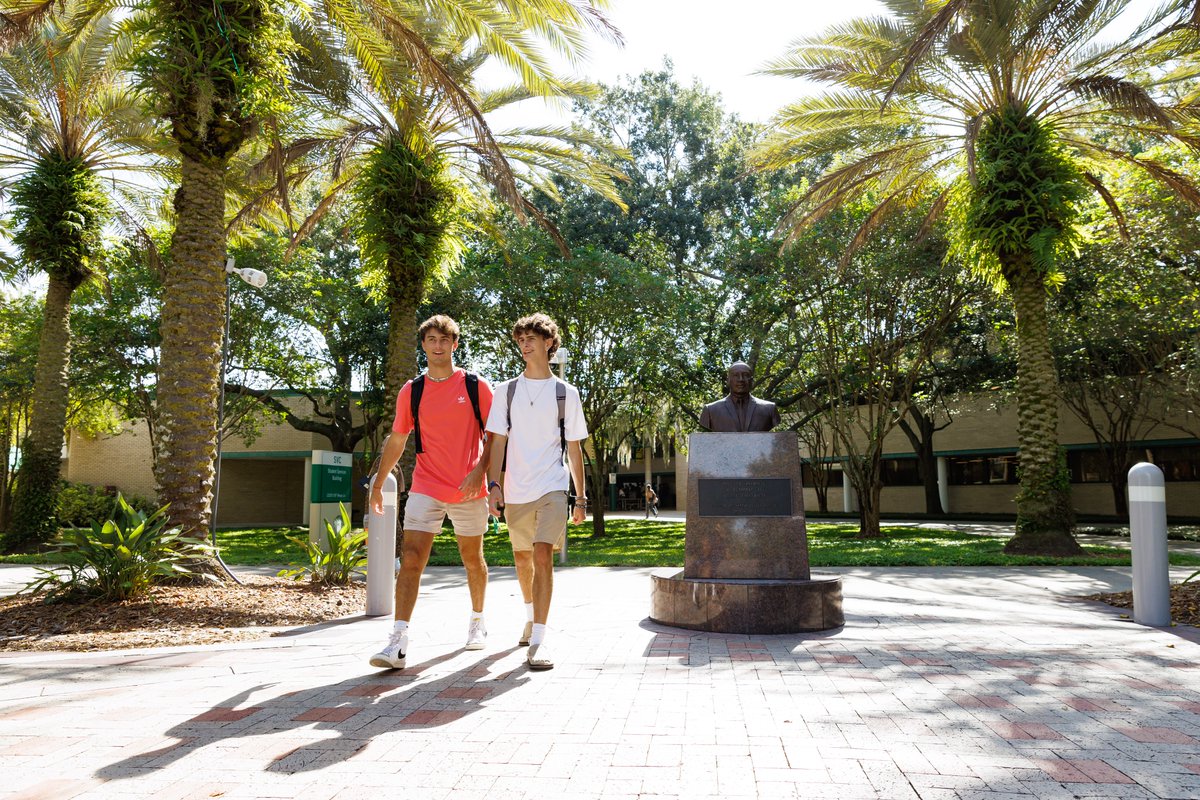 University of South Florida tweet media