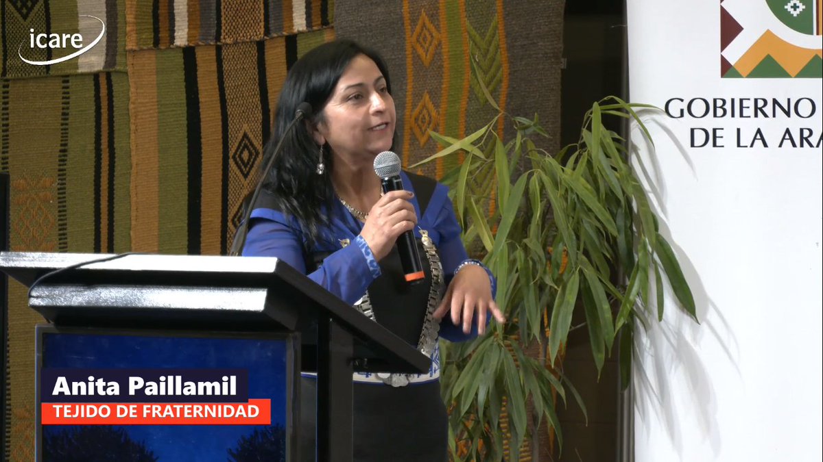 🔴 ¡Señal en vivo! La increíble historia de "Tejido de Fraternidad" llega al #AraucaníaDay gracias a Anita Paillamil, presidenta de la agrupación Newen Ngürekafe. Sigue la transmisión a través de ICARE TV ➡️ bit.ly/2DIKg2i