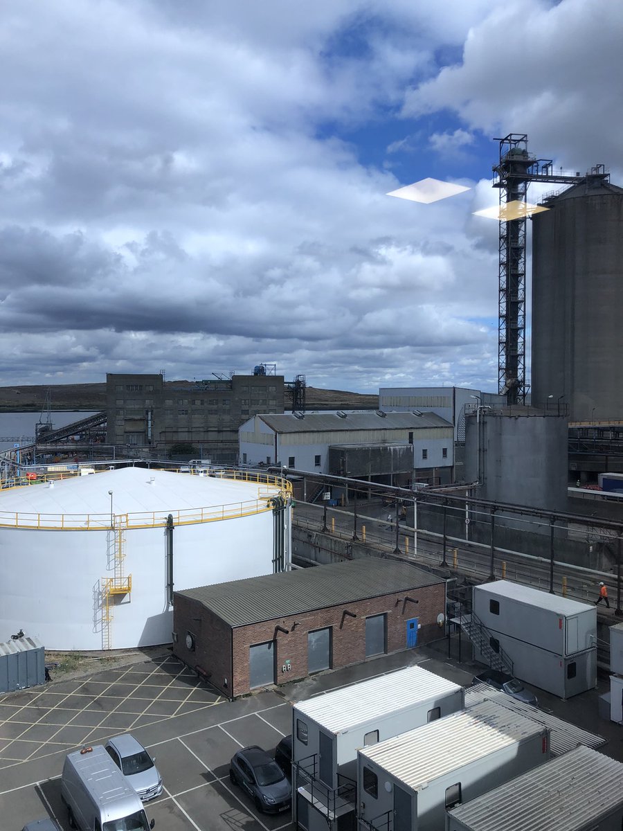 Chris Riley tweet media