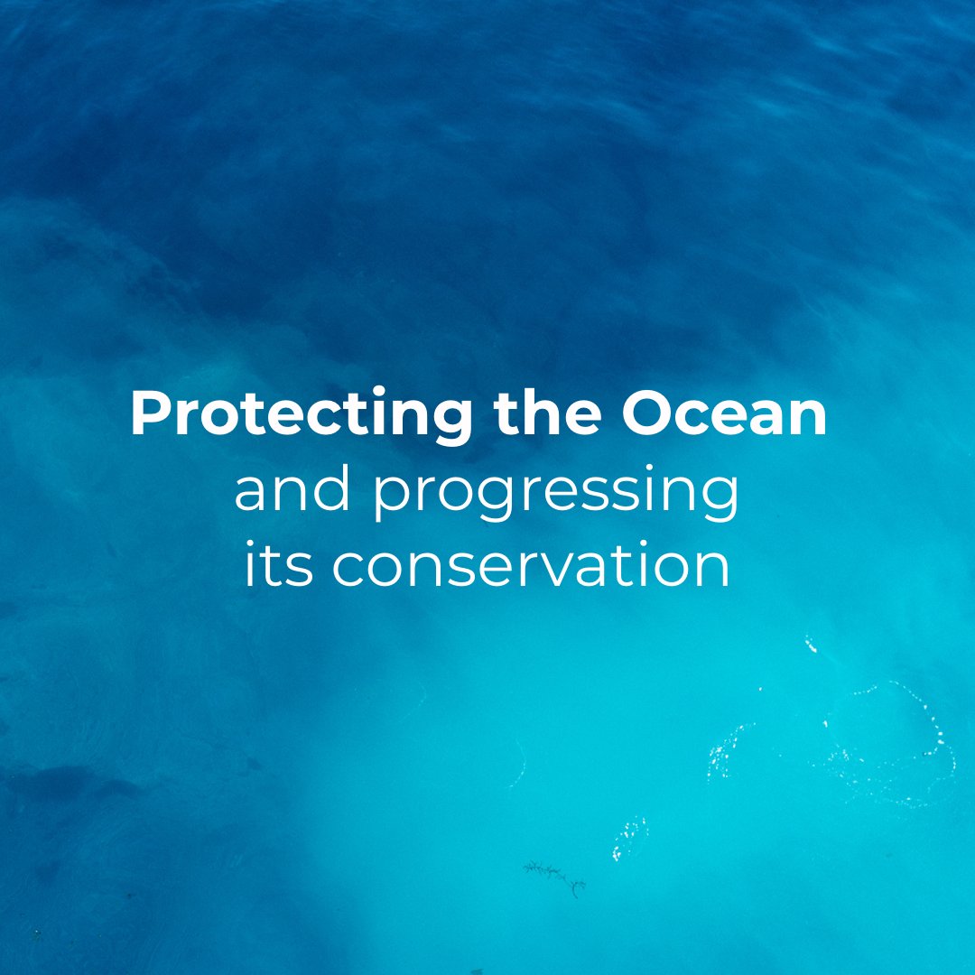 FPA2's tweet photo. Since our creation in 2006, we have supported close to 370 projects and launched 8 initiatives dedicated to marine and ocean conservation.
Visit https://t.co/t054t6xyX3 to learn more about our actions for the #Ocean &amp; how you can help us protect it further.
@FPA2 #PlanetaryHealth https://t.co/SMgifN6zvr