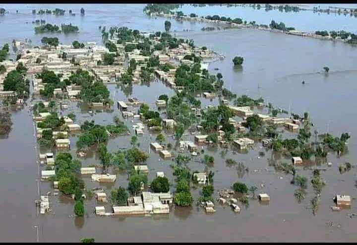 chandio_dodo's tweet photo. سنڌ ۾ ٻوڏ تباهي مچائي ڇڏي آهي، ڪروڙين سنڌي دربدر آهن سرڪار جو رويو مذمت جاڳو آهي اچو ته سڀاڻي ٽيوٽر تي سنڌي ماڻهن جي واهر ڪرڻ لا ٽرينڊ هلايون جيڪي نوجوان ٽيوٽر ٽرينڊ هلائڻ ۾ مهارت رکن ٿا اهي سڀاڻي اڳتي اچن https://t.co/ljZb6nTbvE