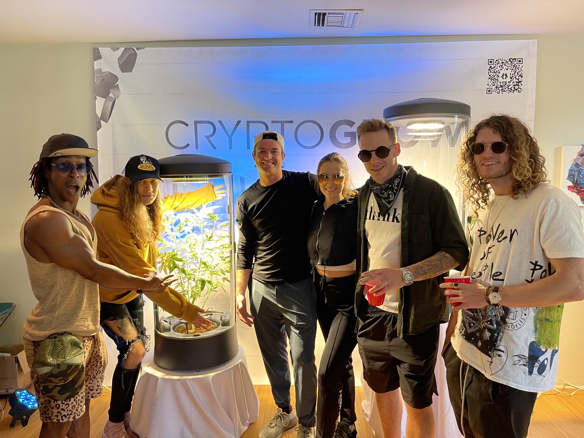 Get weed out of the closet and into the living room.