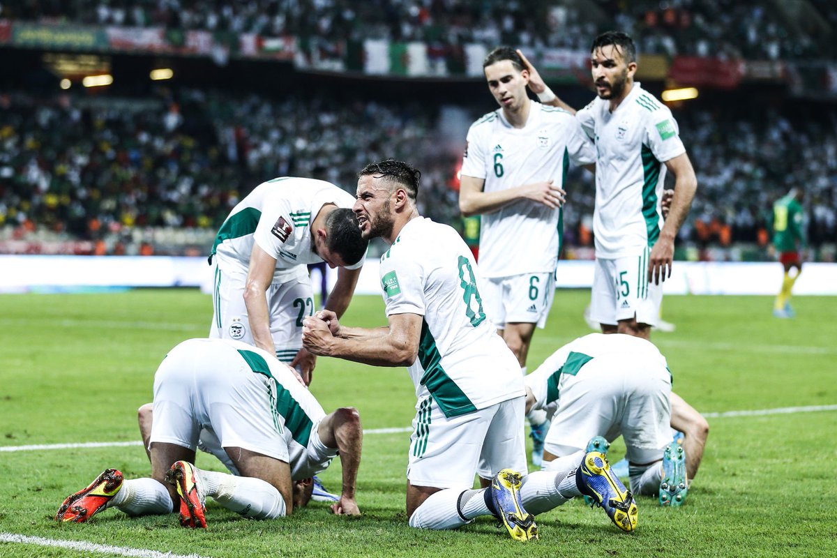 ActuFoot_'s tweet photo. 🚨 OFFICIEL ! L’Algérie 🇩🇿 affrontera la Guinée 🇬🇳 et le Nigéria 🇳🇬 lors de ses matchs amicaux de septembre, et non le Brésil. ❌ https://t.co/ZJdZyC3qfE