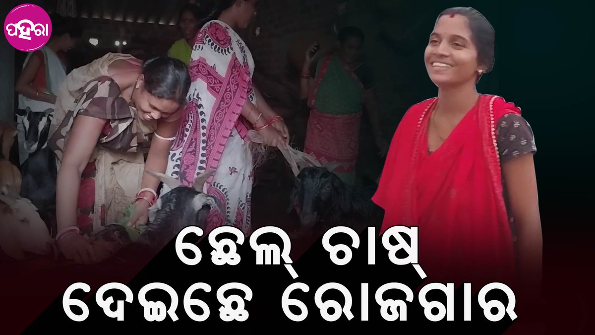 Paharaa24x7's tweet photo. କଳାହାଣ୍ଡି ଜିଲ୍ଲାର ପରିଆ ଗାଁର ସିଦ୍ଧିବିନାୟକ ଏସଏଚଜି କରୁଛନ୍ ଇ କାମ୍
https://t.co/zmnXkqfRHb
#Odisha #Paharaa #JeevikaMission #kalahandi #JeevikaMissionInKalahandi #SHG #MissionShakti @mission_shakti https://t.co/cDxbivQMyZ