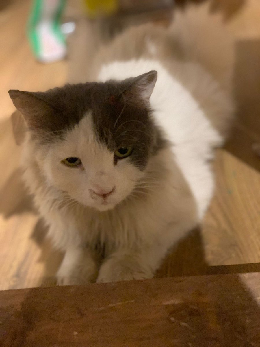 عبير ميان👩🏻‍🎨 tweet media