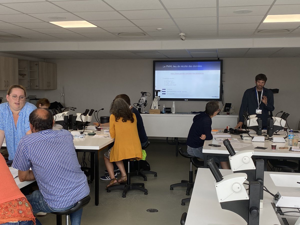 Oceanopolis_'s tweet photo. 📣 L’édition 2022 de l’université d’été @MerEducation 🌊 est lancée et le thème est « Océan 2.0 : un espace numérique ? »💻
👉 Océanopolis accueille un atelier pédagogique de médiation scientifique sur le parcours 2 : comprendre pour préserver. #MerEducation #MerEduc22 #education https://t.co/OYkMXrdXH2
