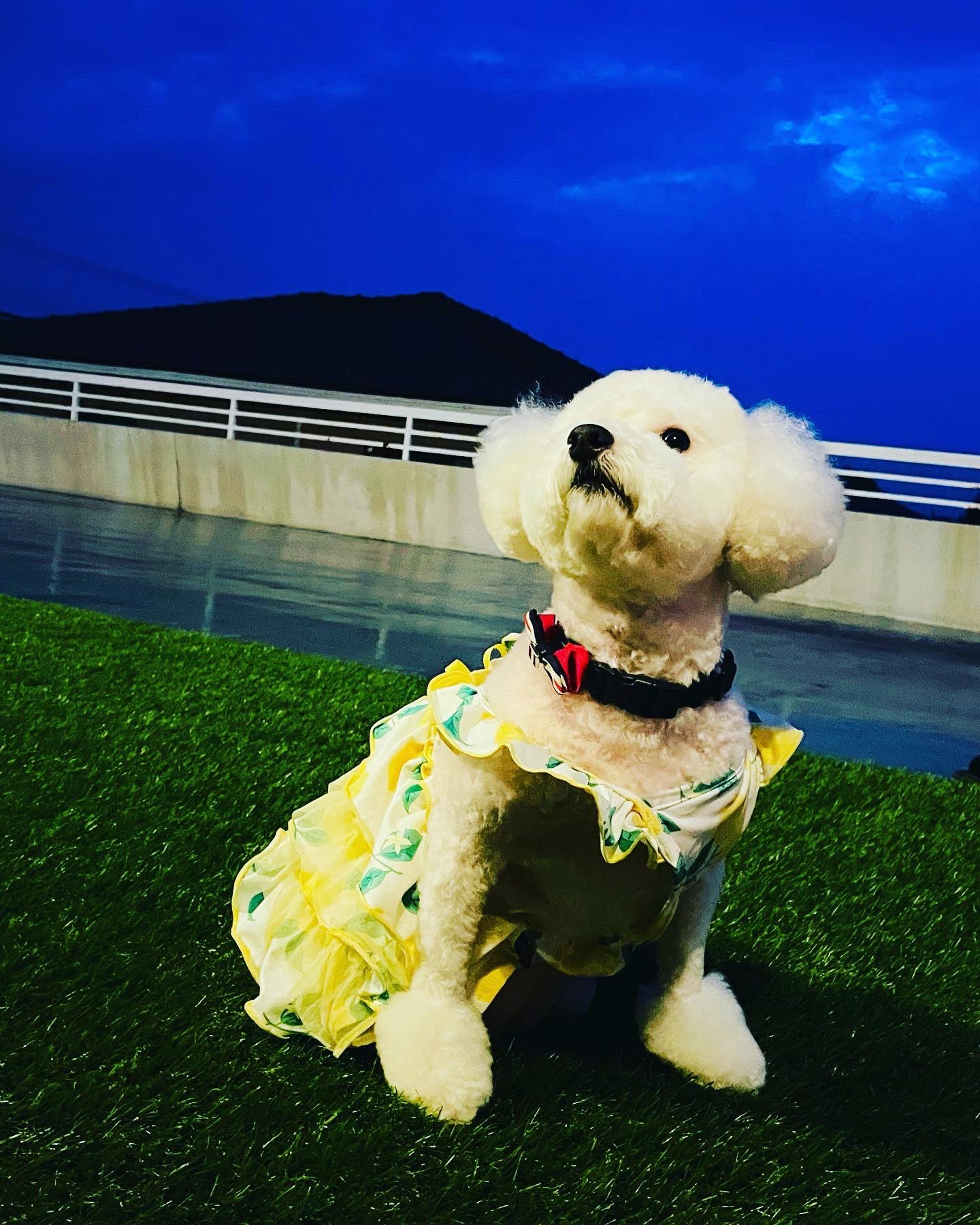 パンツカット Twitter Search Twitter