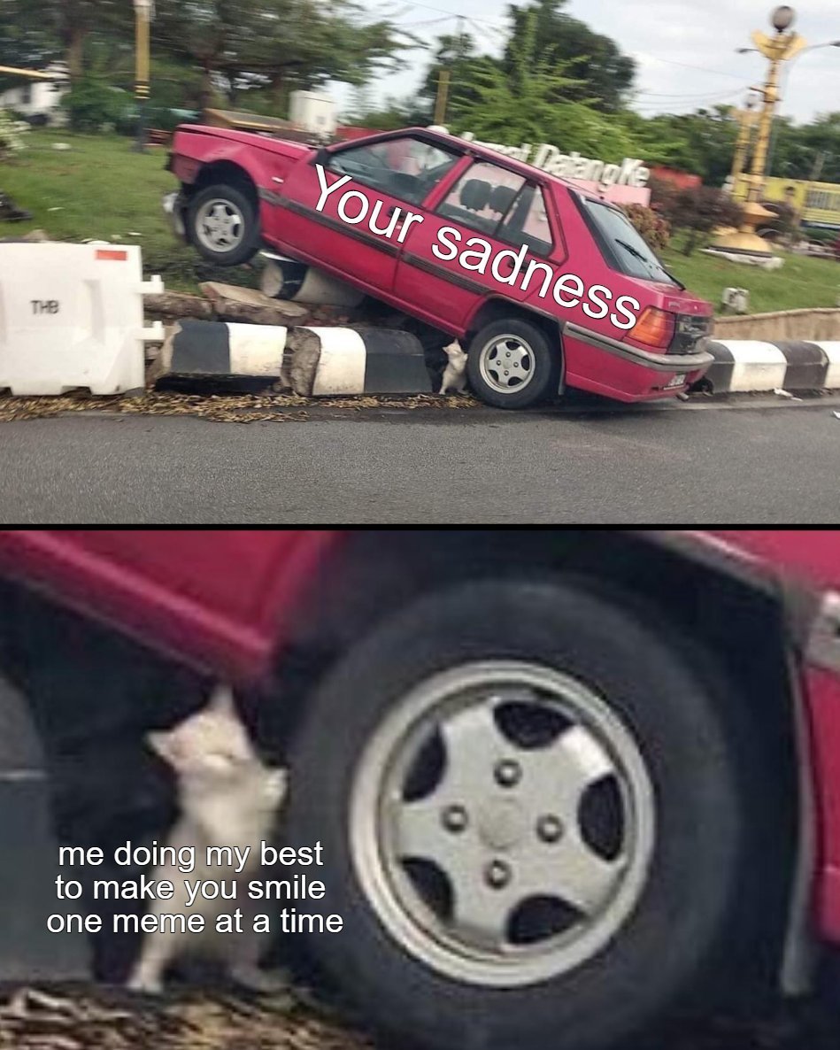 Thesabrinabanks ππ₯TOP 0.01 OF π on Twitter "RT WholesomeMeme https