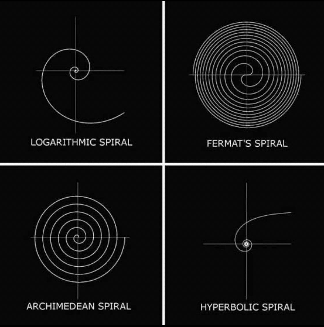 ninjasniperpon's tweet photo. The 4 different spiral patterns found in nature. https://t.co/2Ud4wSilzx