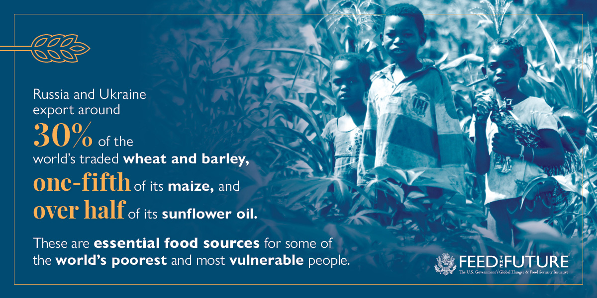 FeedtheFuture's tweet photo. Families already reeling from increased poverty, hunger &amp; malnutrition as a result of COVID-19, climate shocks &amp; conflict now face further suffering from Russia's war on Ukraine. See how #FeedtheFuture investments are helping countries that need it most: https://t.co/6H2iMzhlzo https://t.co/DqDiX1LSSC