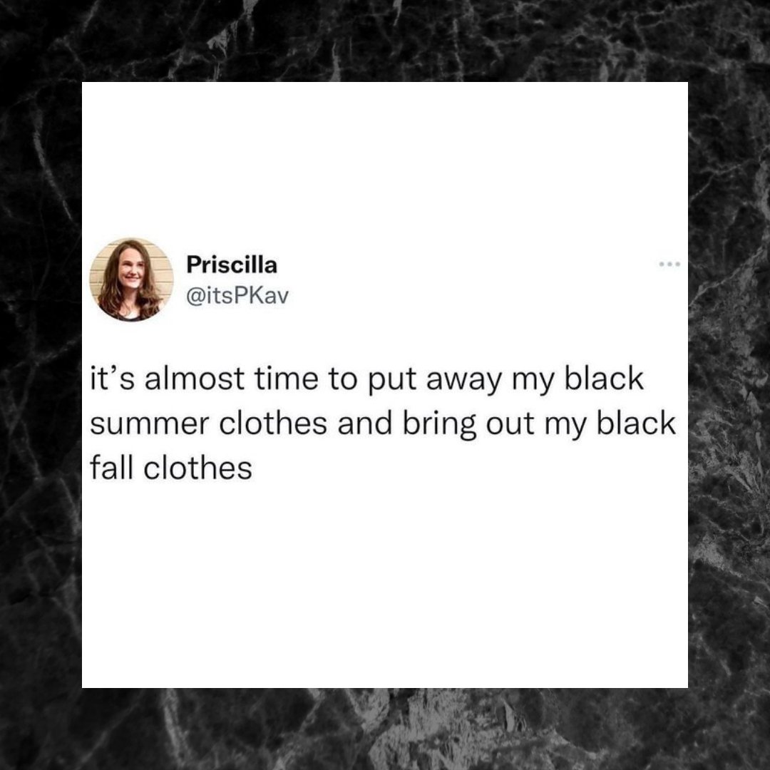 TheFoxLou's tweet photo. It's called fashion, look it up 😎 https://t.co/8NSd2gGi0c