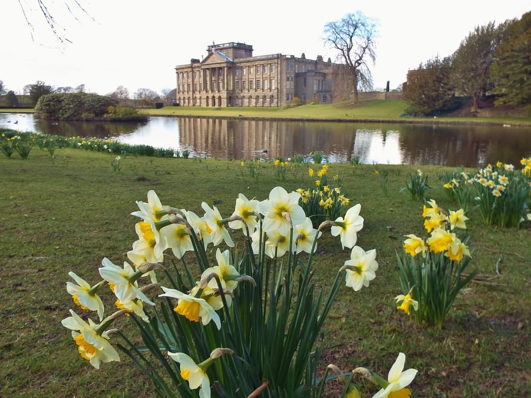 dvk0368's tweet photo. #WanderingWednesday Lyme Hall in Springtime with a decent reflection on 2nd April this year @nationaltrust @NTLymePark #lymehall #lymepark #disley #cheshire #Spring #Daffodils #reflectinglake #reflection #view #landscape #scene https://t.co/N40SCrpSLN