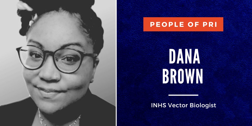 INHSillinois's tweet photo. Since her first time dissecting a #tick ~10 yrs ago, Dana Brown knew she wanted to conduct molecular surveillance of vector-borne diseases. Now she's an #INHS #MedEntLab vector ecologist!
Learn more ➡️ https://t.co/uTjwD3z0mf
@VectorCollector @cmst232 #TickTuesday #WomenInSTEM https://t.co/SNb7MA5W8Z