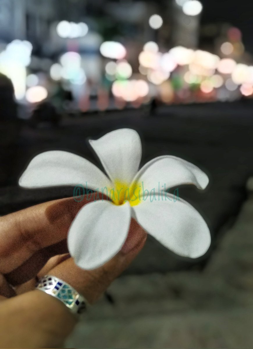 BanarasiBalika's tweet photo. शाम-ए-अवध ने ज़ुल्फ़ में गूँधे नहीं हैं फूल,
तेरे बग़ैर सुब्ह-ए-बनारस उदास है..
~राम अवतार गुप्ता मुज़्तर 
@Rekhta

The unbraided फूल of शाम-ए-अवध🌸

#photography #Flowers #musafiri https://t.co/lQFM6mn3nR