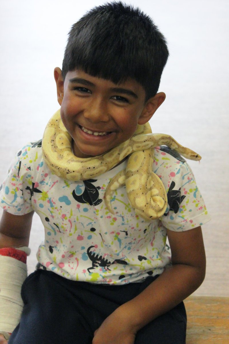 WaverleySchool's tweet photo. Today was the day, the reptiles came to play! π’ππ¦ Holiday club loved welcoming in some scaly visitors this morning! The children held a tortoise, lizards and snakes of all different sizes. See here: https://t.co/sUnwu1VAa9 #HolidayClub #SummerHolidays #ReptileEncounters https://t.co/4x71UJ3NCm