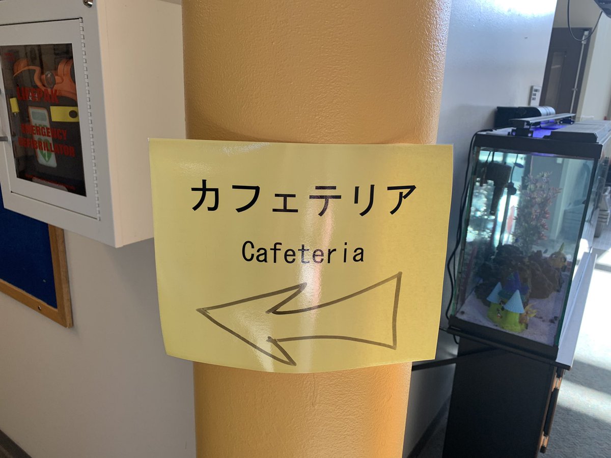 MDominguezD15's tweet photo. So proud and humble to participate in the Parent meeting for our Japanese families @WhiteleyWildcat Our amazing @MultilingualD15 teachers guided parents to learn more about school. While I didn’t understand much, it was clear that the parents appreciated the time. https://t.co/eNZkXUqFSR