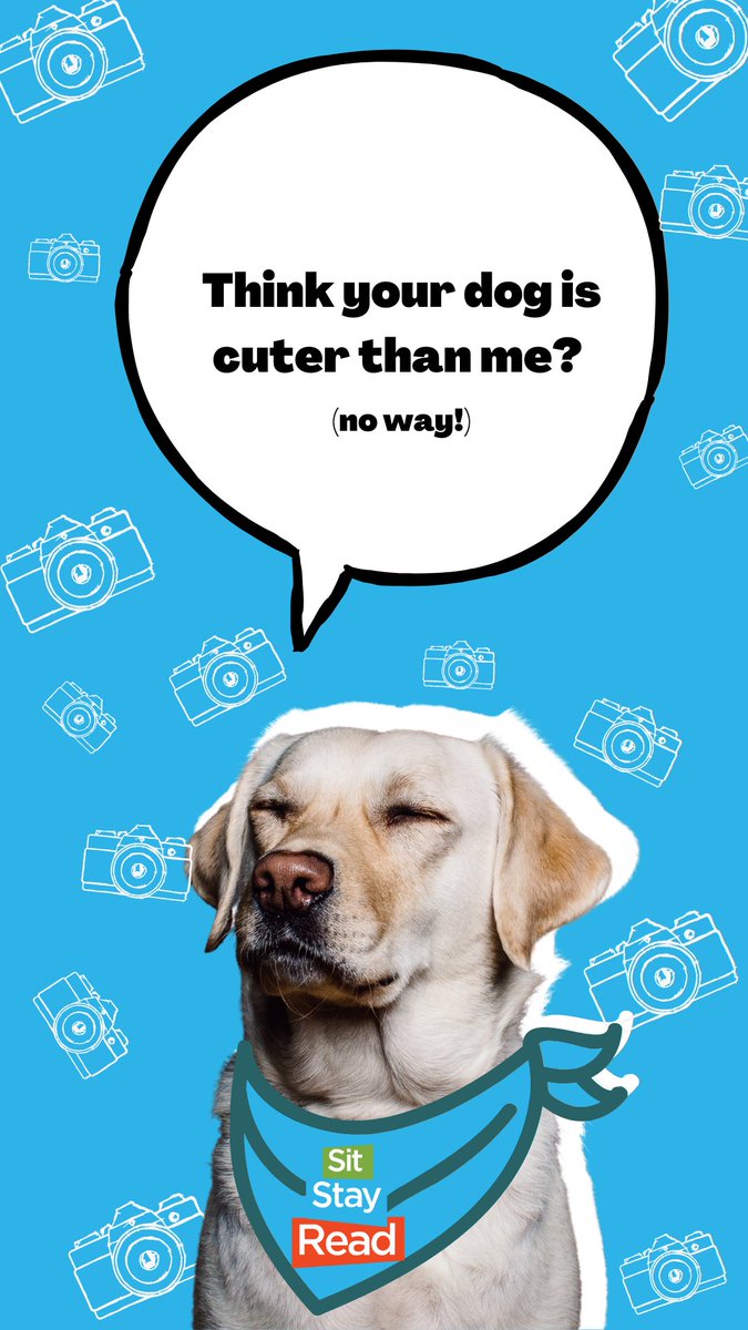 SitStayRead tweet media