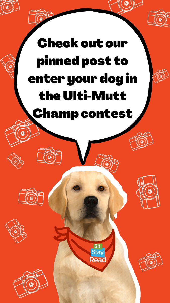 Don't miss out on this opportunity towin a $600 professional photoshoot! Check out our pinned post on how to prove your dog is the cutest. 📌#sitstayread #Chicago #giveaway #ChicagoNonprofit #Chicagocontest #dogparents #doglovers #dogowners #dogselfie #cutedogs #dogphotos