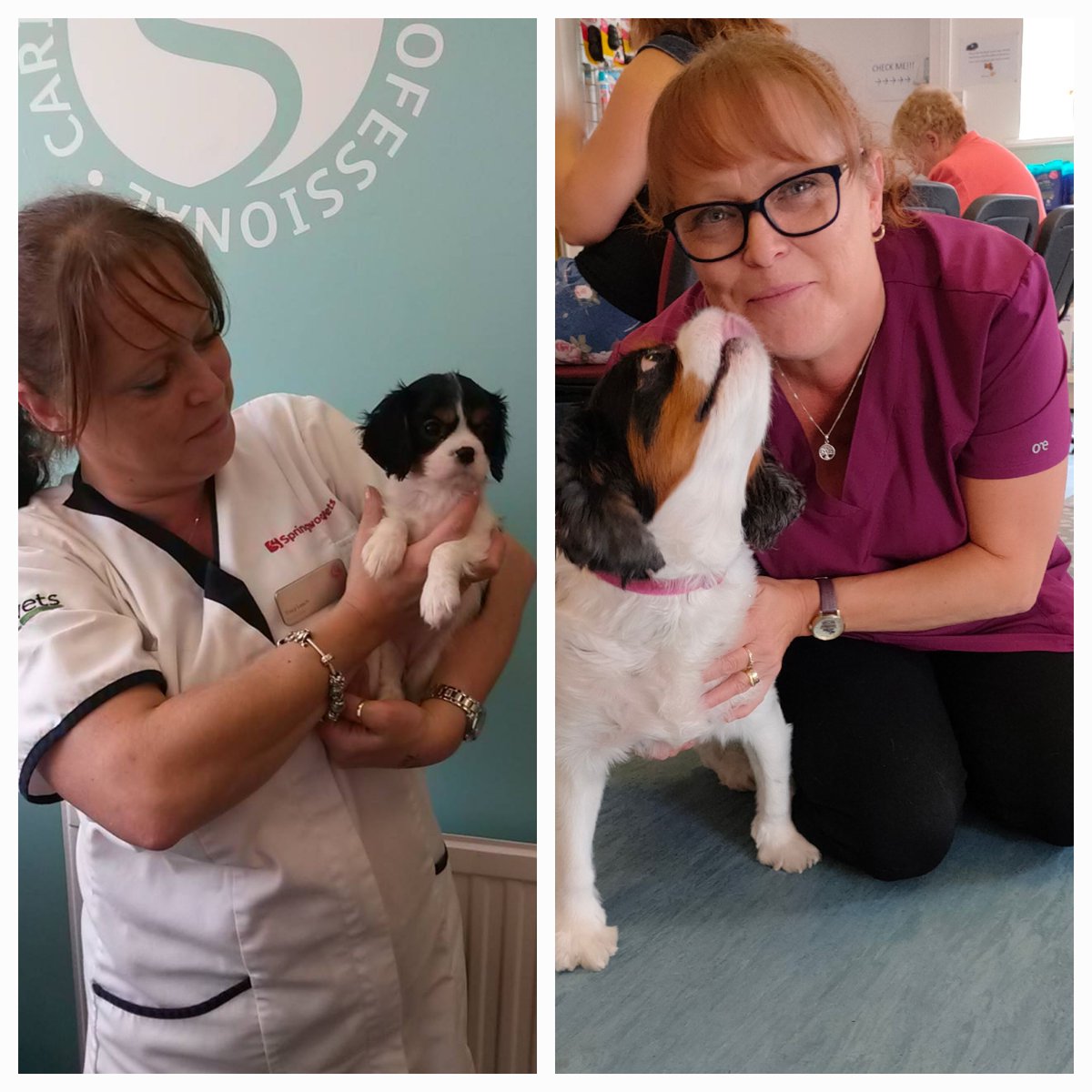 Nell recently visited our Stapenhill site for a re-check, her owners surprised our Client Care Adviser Tracey with a picture they took nearly 7 years ago, on Nell's 1st visit

We couldn't resist taking a new photo of them both! 📸  😍

#ScarsdaleVets #dogs #vet