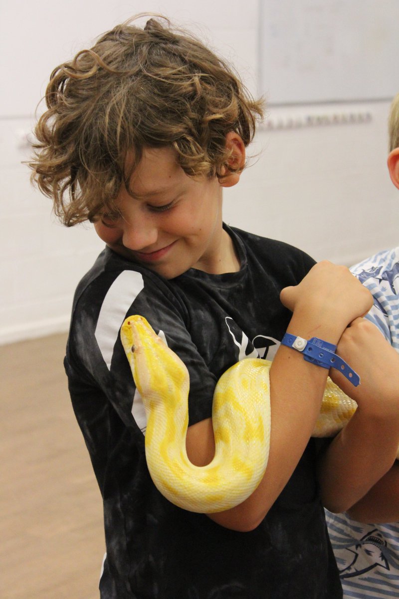 WaverleySchool's tweet photo. Today was the day, the reptiles came to play! π’ππ¦ Holiday club loved welcoming in some scaly visitors this morning! The children held a tortoise, lizards and snakes of all different sizes. See here: https://t.co/sUnwu1VAa9 #HolidayClub #SummerHolidays #ReptileEncounters https://t.co/4x71UJ3NCm