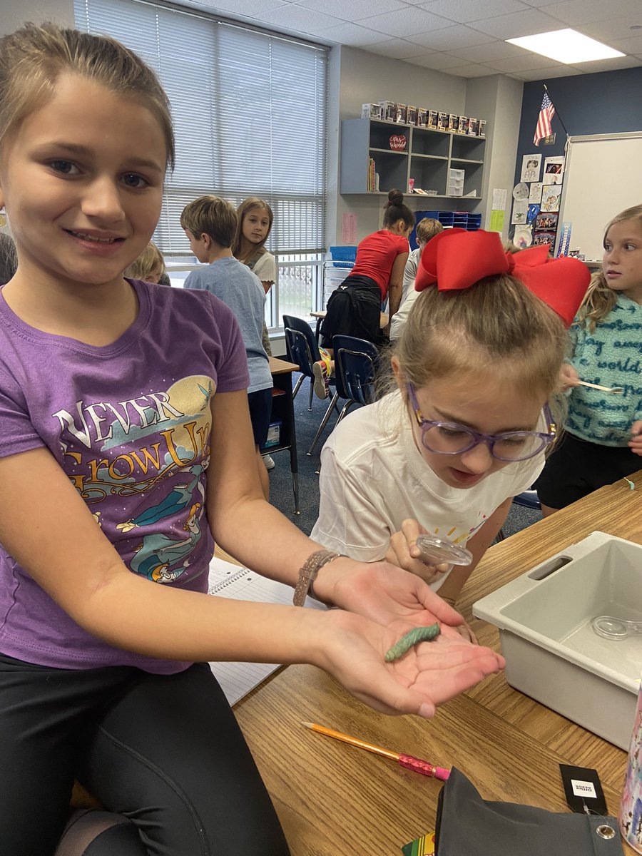 Dana Schendel tweet media