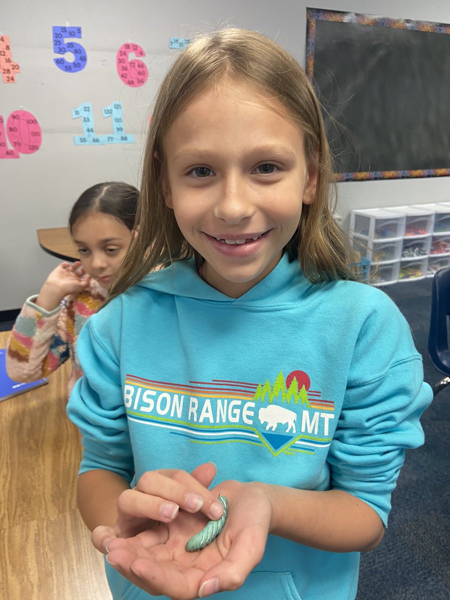 Dana Schendel tweet media