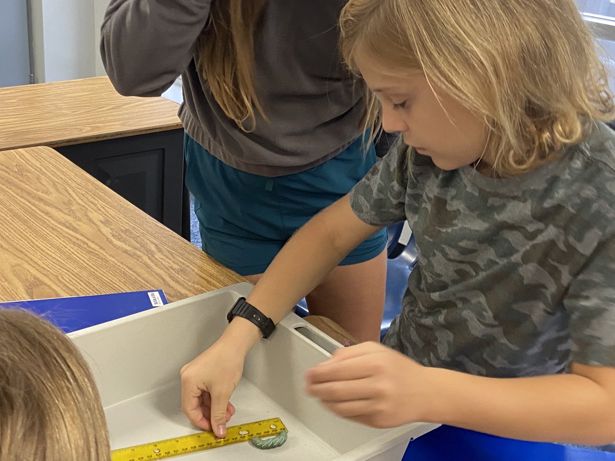 Dana Schendel tweet media