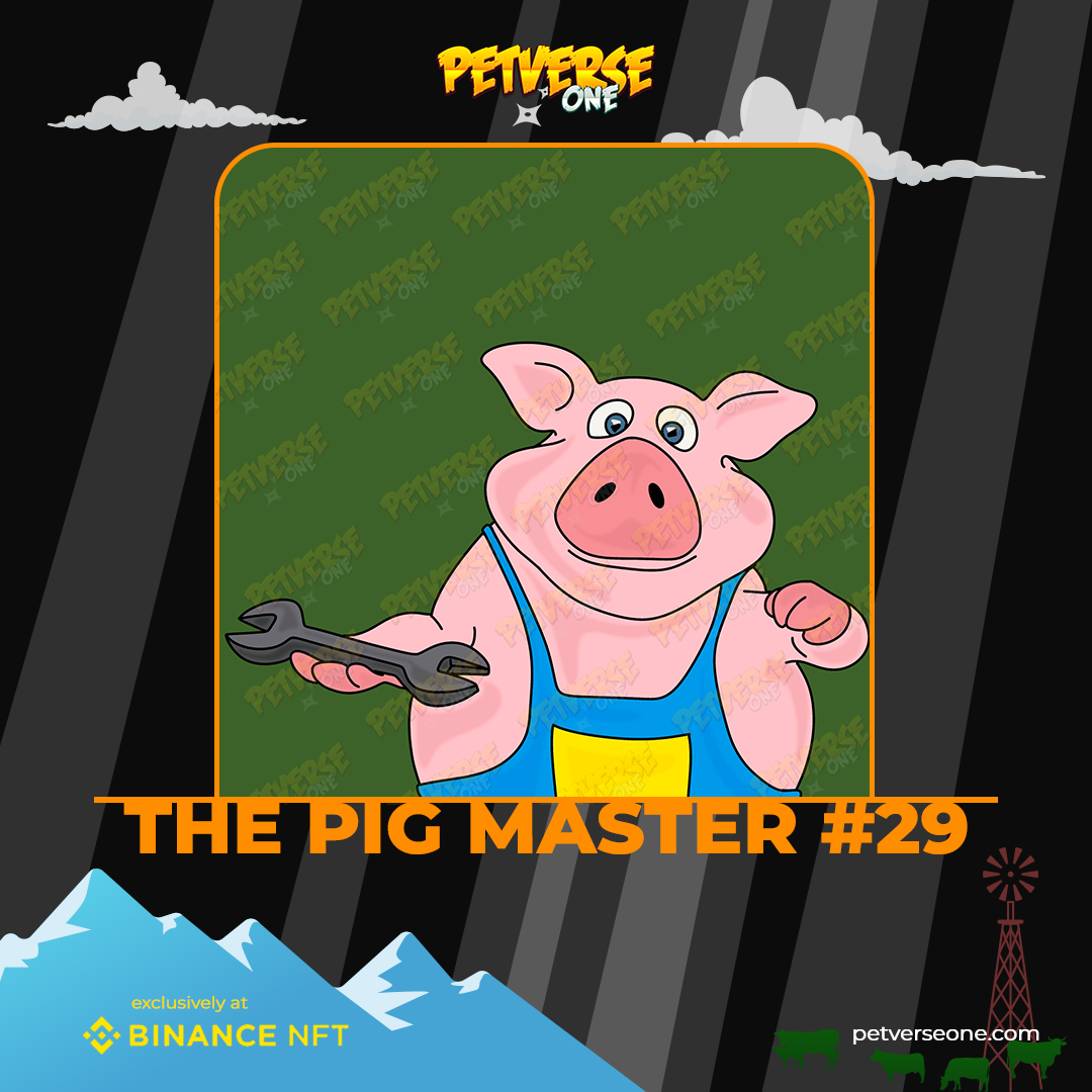 petverseone tweet media