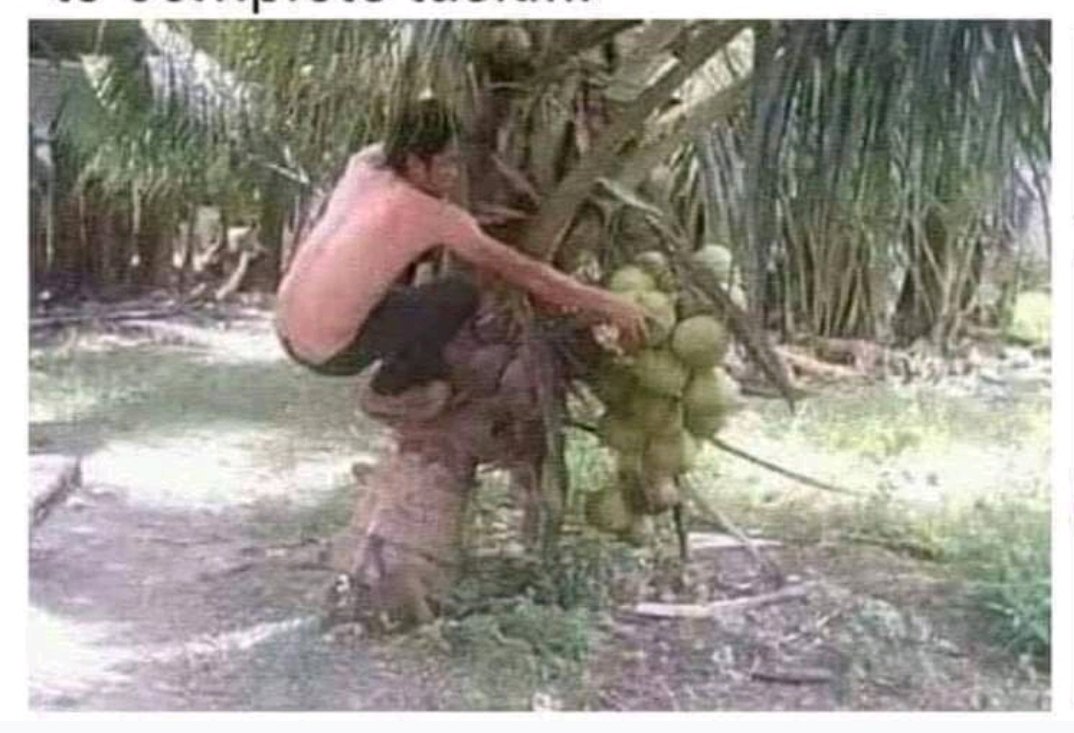 _dasuja's tweet image. Using a process to complete every task!