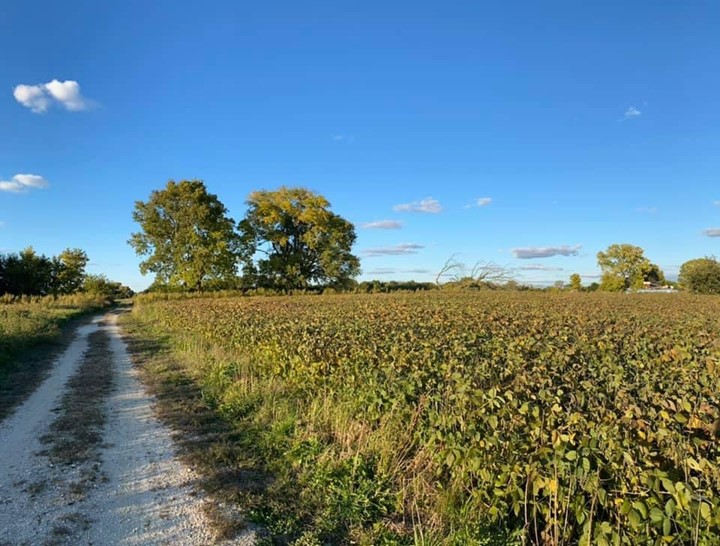 MidewinNatTP's tweet photo. #NeverBeanBetterDay is meant to encourage people to throw “beans of love &amp; joy!” Here, #SoyBEAN crops are helping to create "blank slates" for growing #prairieplants, which are important to the environment: https://t.co/neaUMHY3zi. DYK? Soybeans are a key ingredient in #soysauce! https://t.co/mcEHYpDhBQ