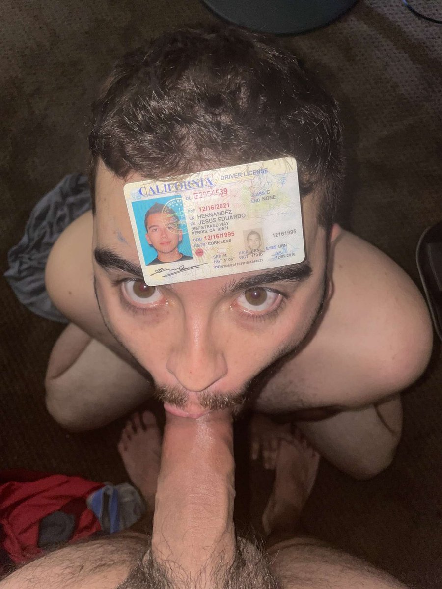 ExposureBear's tweet photo. @loserfag1214

Look how proud she is to be wearing a diaper!  Pathetic fagtard! 

#exposed #diaperfag #pissdrinker https://t.co/Lx68t35HrJ