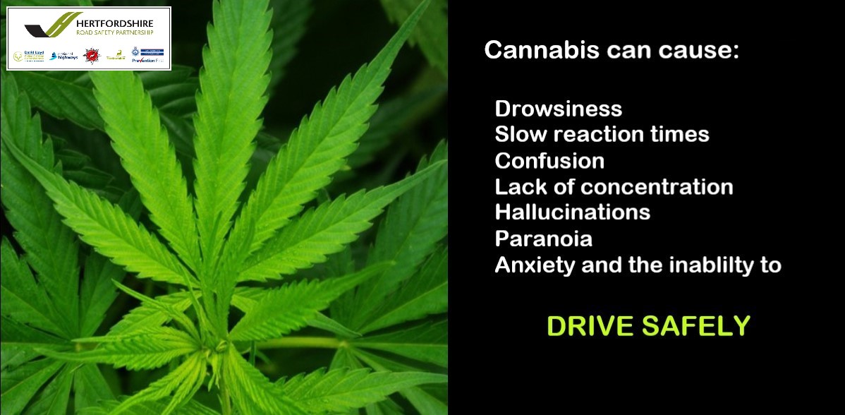 roadsafetyherts's tweet photo. Even small amounts of recreational #drugs can have a BIG effect on driving ability. Please leave the driving to someone else if you’ve got #drugs in your system
#DrugDrivingWrecksLives please #StriveToArrive

@HertsPolice 
@HFRS 
@Herts_Highways 
@HertsPCC https://t.co/174m4lGovg