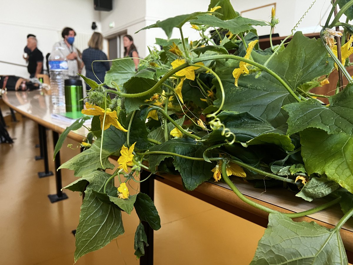 When scientists bring the objects of their affection to the conference.

⁦<a href="/PlantBioMech22/">Plant Biomechanics 2022</a>⁩