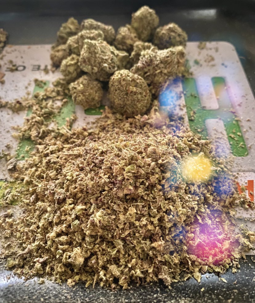 KokoHealingC's tweet photo. 🍃@KokoHealingC 💚🌿💨… All Day Long… Mmmmm Mmmmm Mmmmm , #ILOVECHRONIC I LOVE CHRONIC💜😈👾AAAA PURPLE HAZE TODAZE!!!…#ForDaze Be True My Friends👌😍 #CannabisCommunity #420life #weedlife #Weedmob #WeedLovers #Love #PurpleHaze #DavesNotHere #Mmemberville #GreenLegacy https://t.co/GFL74hDDHk
