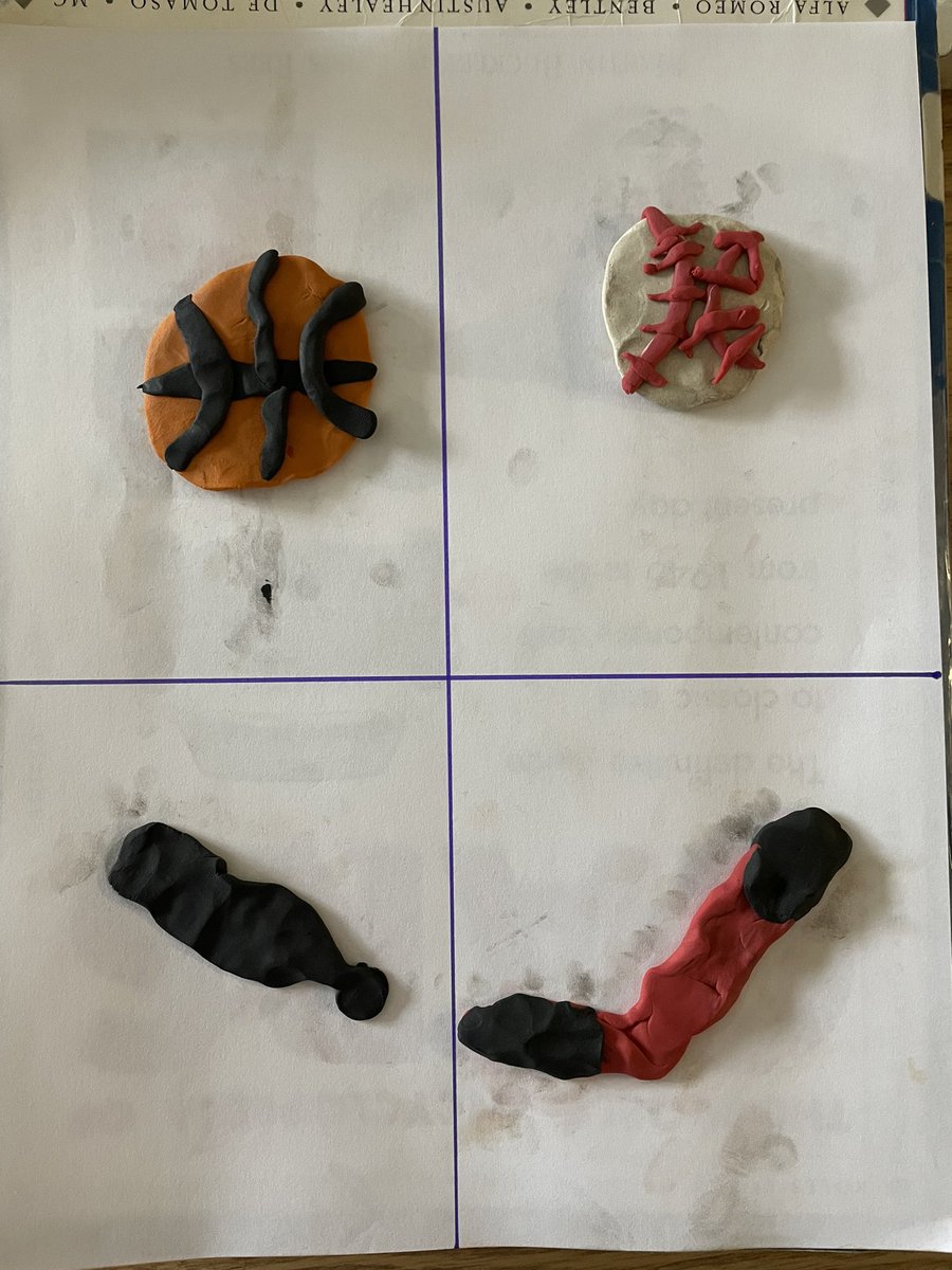 MissPSpring's tweet image. Can you figure out which one doesnโt belong? Our grade four and ELL students had to be extra creative with todayโs clay challenge ๐๐ผ๐ค@MissTFilice @HWDSBSummerCamp @HWDSB