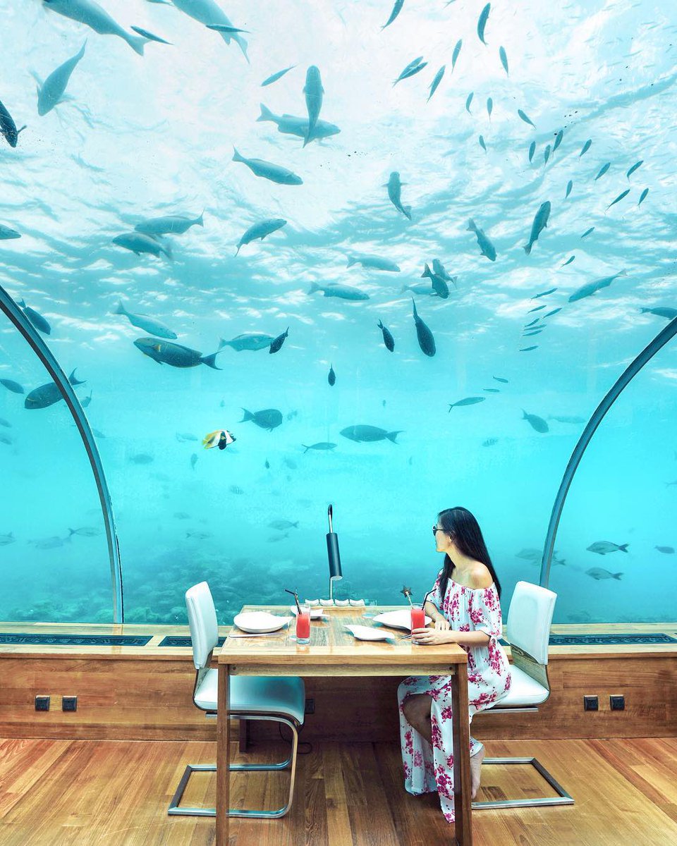 Barefoot luxury meets unpretentious style at the spectacular Conrad Maldives Rangali Island.

DM/ Email/ WhatsApp for best deals.

📸: <a href="/michutravel/">Michelle chu</a>

#maldives #maldivesislands #aerialphotography #ansamatravel #conradmaldives #oceanlover #beautifuldestinations #travelphotography