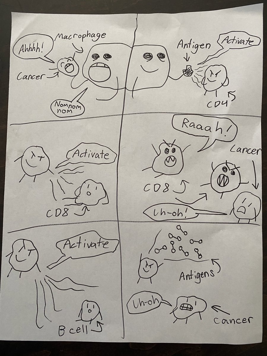 joshrveatch's tweet photo. 10 year old daughter making material for the lab website https://t.co/SEcZPo0tF6