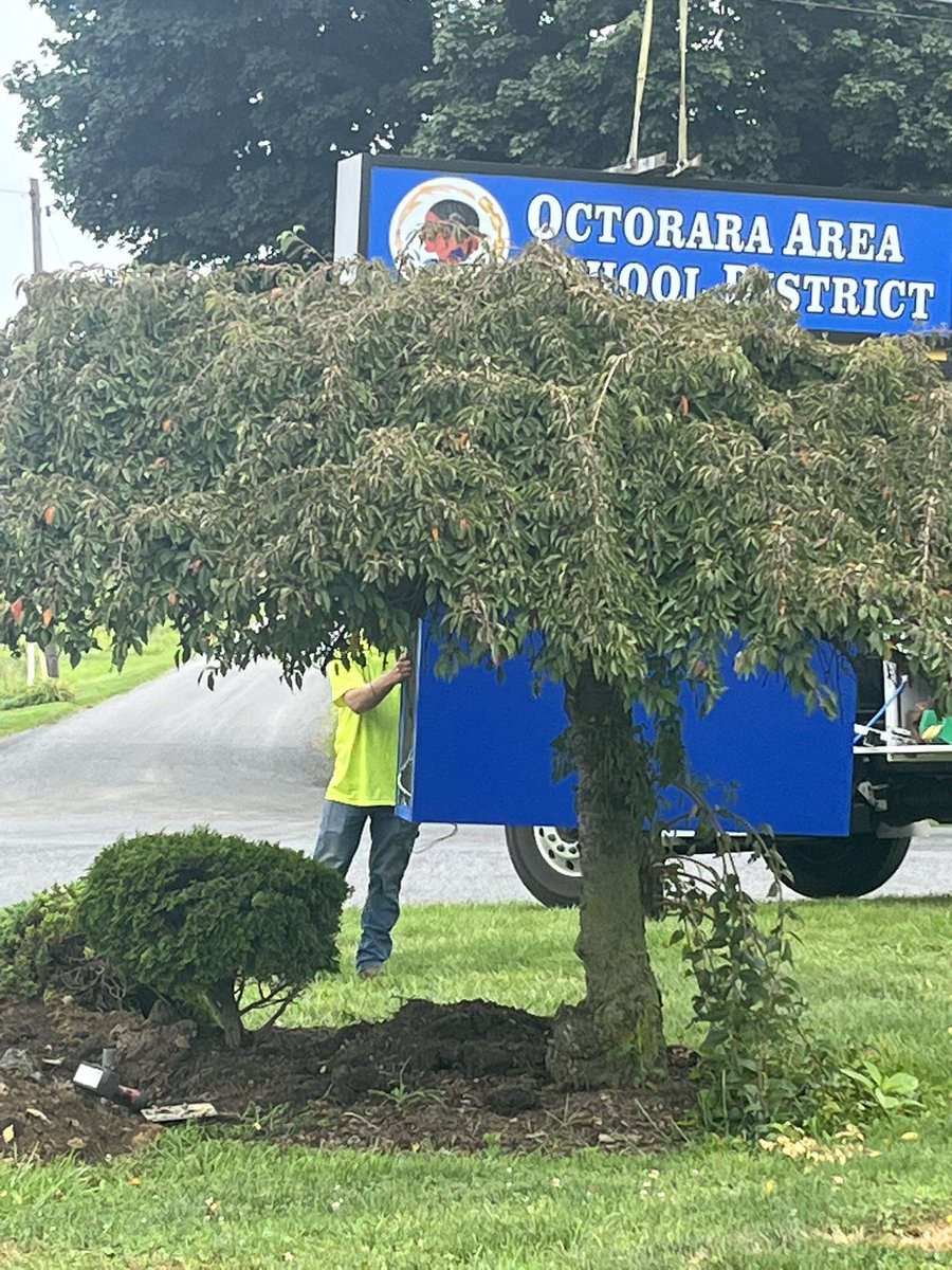 Dr. Michele M. Orner (Archived) tweet media